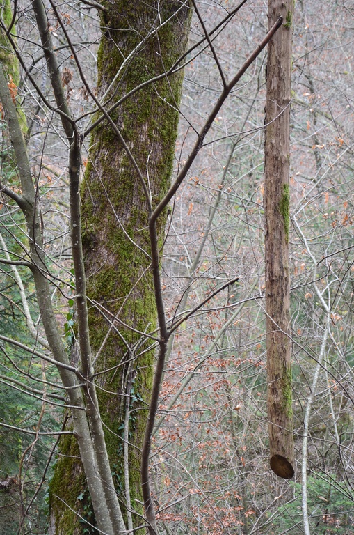 2016-12 France/Rumilly/DSC_0039.JPG